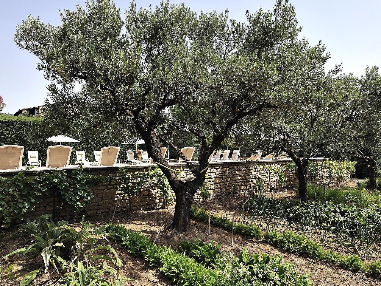 Hotel Carcarille Restaurant Le C Gordes Εξωτερικό φωτογραφία