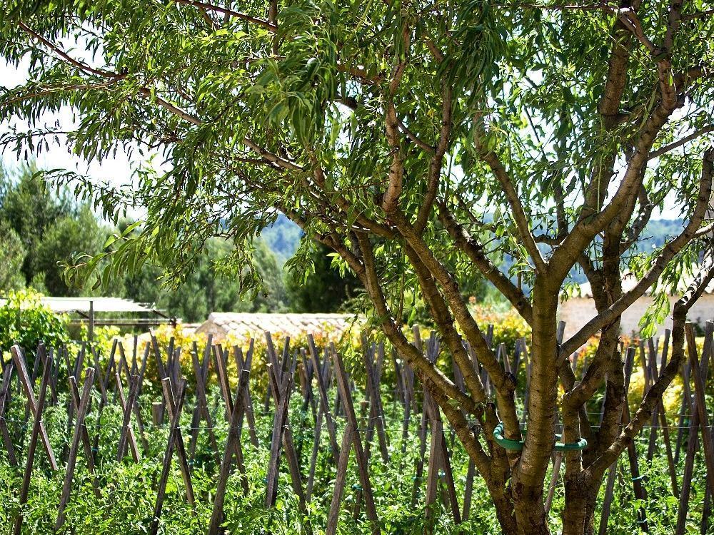 Hotel Carcarille Restaurant Le C Gordes Εξωτερικό φωτογραφία